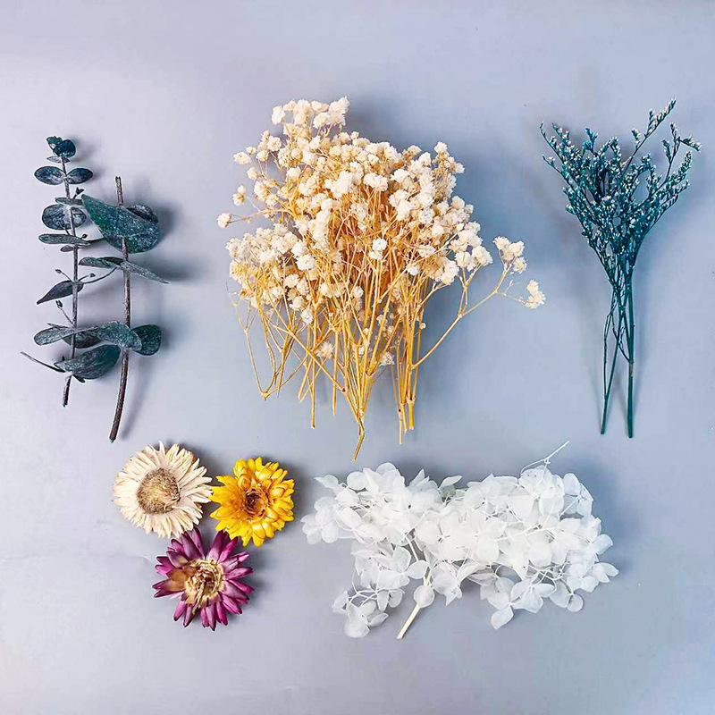 1 zestaw różnorodnych suszonyc – Embellish Craft recenzja i cena