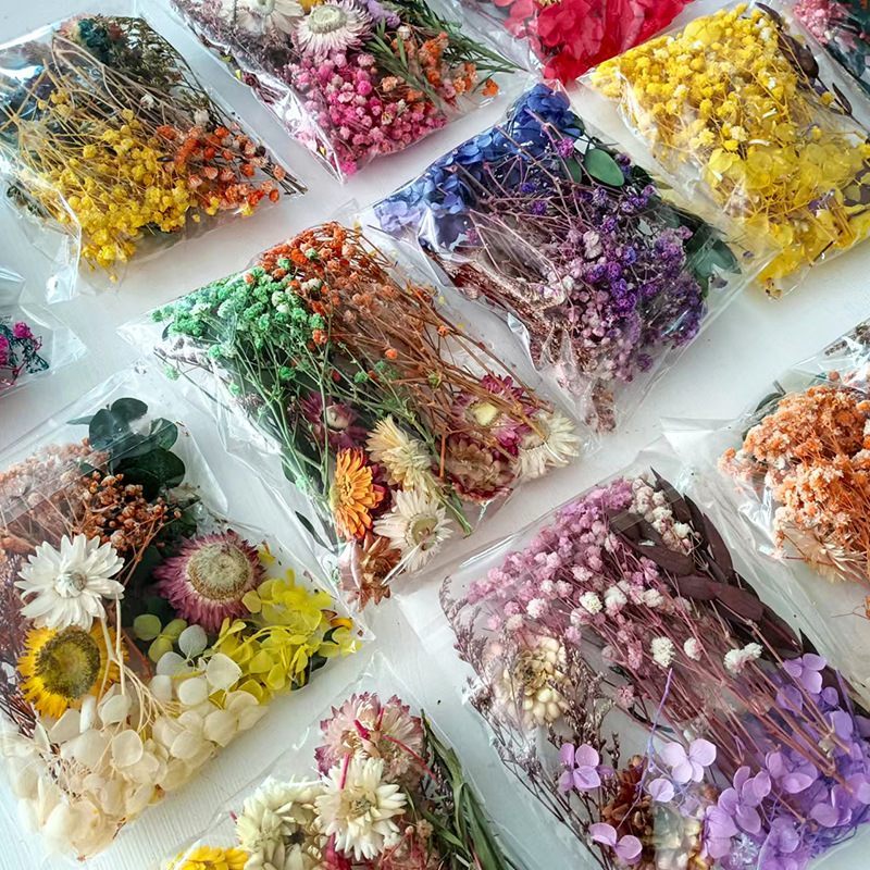 1 zestaw różnorodnych suszonyc – Embellish Craft recenzja i cena