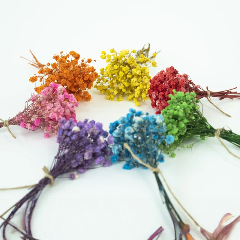 Suszone kwiaty gipsówki 50 szt – Embellish Craft recenzja i cena