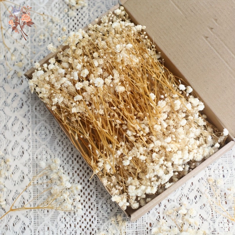 100 szt. Mini Suszone Kwiaty G – Embellish Craft recenzja i cena